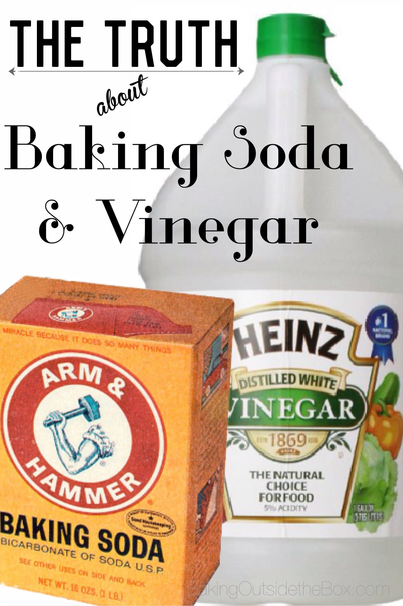 Can I Use Vinegar To Clean My Windows At Matthew Ellis Blog