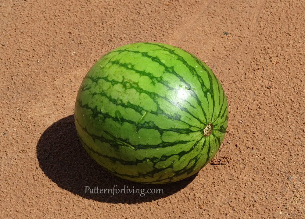 Watermelon Keepaway Game Creating Baking Outside The Box